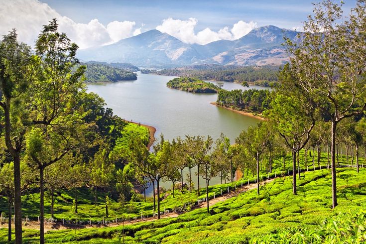 Kerala Cultural Heritage Tour